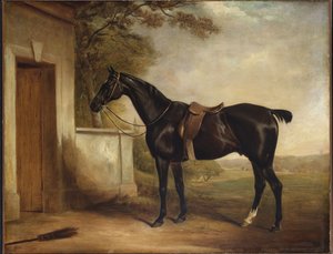 Portrett av Buckle, First Lord Cheshams Hunter, 1836