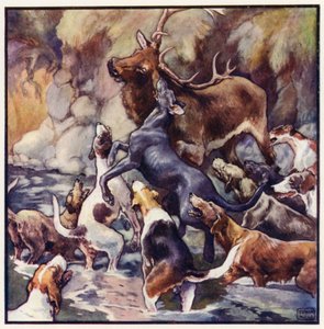 En enorm kamp finner sted, hele flokken er over ham (farge litho) av John Edwin Noble