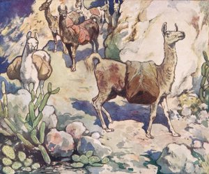 Alpakkaer på en fjellsti, illustrasjon fra 'Helpers Without Hands' av Gladys Davidson, utgitt i 1919 (farge litho) av John Edwin Noble
