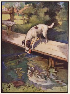 The Dog and the Shadow (farge litho) av John Edwin Noble