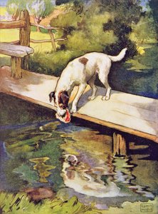 The Dog and the Shadow fra "Aesop