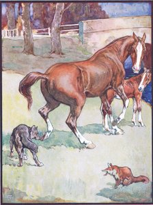 The Mare Lifted Her Hoof, illustrasjon for Reynard the Fox, fra Animal Legends from Many Lands, utgitt av Raphael Tuck & Sons Ltd. av John Edwin Noble