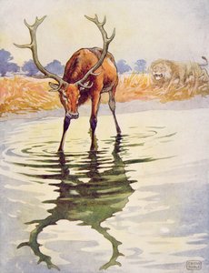 The Stag and its Reflection fra "Aesop