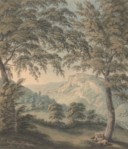 Matlock High Tor, Derbyshire av John Emes