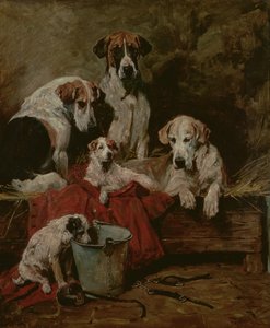 Kennel ledsagere av John Emms
