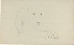 Løve av John Flaxman
