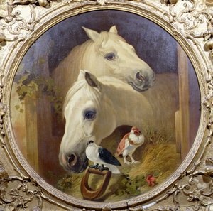 Hester ved en stalldør