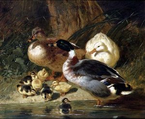 Ender og andunger av John Frederick Herring Senior