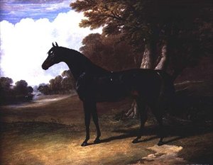 Gaucus, en mørk bukthest i et skogkledd landskap (olje på lerret) av John Frederick Herring Senior