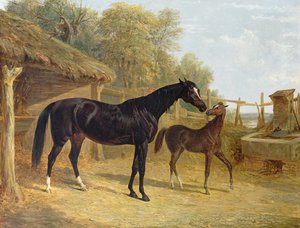 Levity, eiendommen til J.C.Cockerill Esq., med føllet hennes dronning Elizabeth, eiendommen til Lord Dorchester, 1843