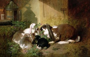 Ukjent bilde av John Frederick Herring Senior