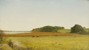 Almys dam, Newport av John Frederick Kensett