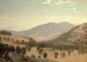 Bergen Park, Colorado (olje på lerret) av John Frederick Kensett