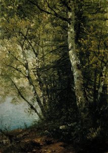 Study of Beeches, 1872. av John Frederick Kensett
