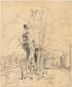 Trær ved et stakittgjerde av John Frederick Kensett