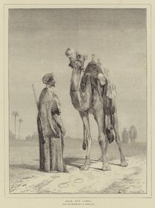 Arab og Camel av John Frederick Lewis