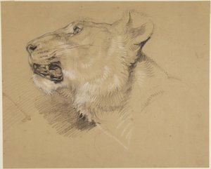 Hode av en løvinne av John Frederick Lewis