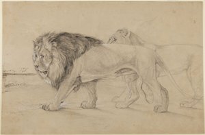 Løver av John Frederick Lewis