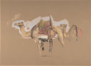 To kameler, ca. 1843. av John Frederick Lewis