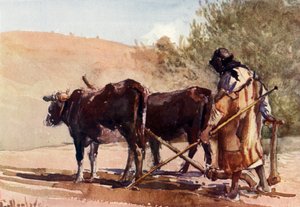 Pløying på Oljeberget, 1902. av John Fulleylove