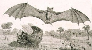 The Vampire or Spectre of Guyana av John Gabriel (after) Stedman