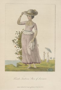  av John Gabriel Stedman