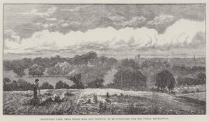 Brockwell Park, nær Herne Hill og Dulwich, skal kjøpes for offentlig rekreasjon