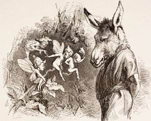 Illustrasjon for A Midsummer Night
