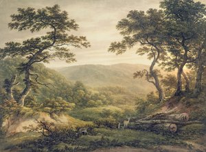 Needlewood Forest, Hampshire (akvarell på papir) av John Glover
