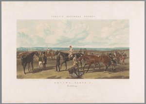 Hester blir salet til løpet Racing - Plate 1. Sadling (tittel på objekt) Fores nasjonale idretter (serietittel) Fore