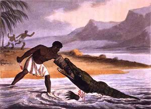 The African Crocodile Hunters, gravert av Matthew Dubourg (fl.1785-1820), utgitt av Edward Orme