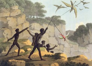 Throwing the Spear, aboriginer som jakter på fugler fra New South Wales, gravert av puben Matthew Dubourg (f.1813-1820). 1813
