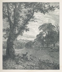 Plate 3. Hjort rundt et tre. Naturbilder. En serie på tretti originale illustrasjoner tegnet på tre av JH Dell, og gravert av R. Paterson. John Henry Dell