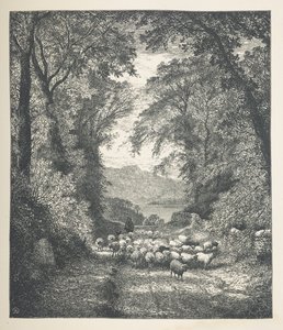 Plate 4. Sauer blir kjørt av en gjeter, langs en sti.  Naturbilder. En serie på tretti originale illustrasjoner tegnet på tre av J. H. Dell, og gravert av R. Paterson.  John Henry Dell