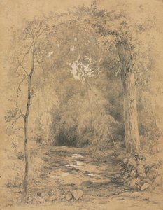 Skoginteriør, ca. 1870.