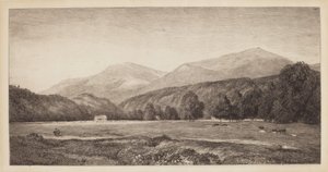 Hvite fjell