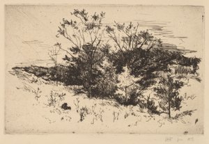 Høst Avondale av John Henry Twachtman