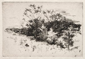 Høstlandskap, 1879-80. av John Henry Twachtman