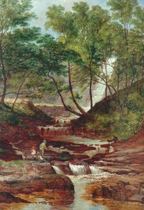 Cat Holes Dam Fall i Todmorden, 1870