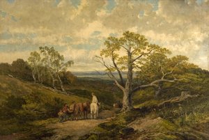 Utsikt i Sherwood Forest, Nottinghamshire