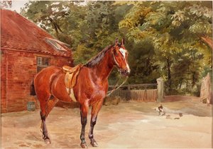 Stallgård med hest (bc og wc på papir)