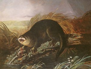 Otter fanget i en felle av John James Audubon