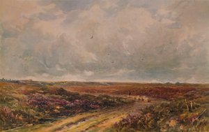 Stormy Day on a Surrey Common, 1800- og 1900-tallet, 1935