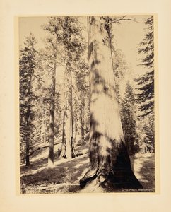  av John K. Hillers