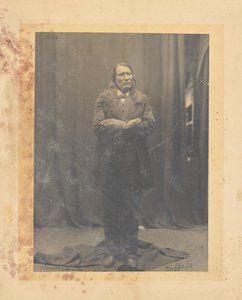 Stehender Büffel av John K. Hillers