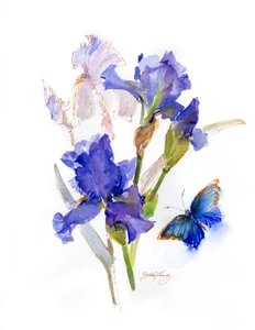 Iris med blå sommerfugl, 2016, (akvarell) av John Keeling