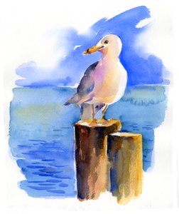 Måke på kai, 2014, (akvarell) av John Keeling