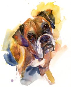 Stanley-portrett, 2016, (akvarell)