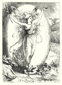 The Hidden Roses (gravering) av John Lawson