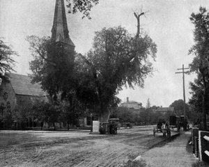 Washington almetre i Cambridge, Massachusetts, USA, ca. 1900 (s/hvitt bilde) av John Lawson Stoddard
